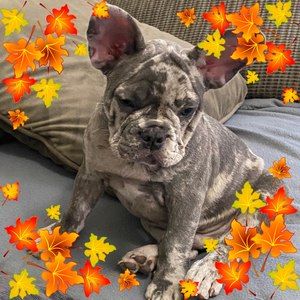 Meet your Posher, Tetiana